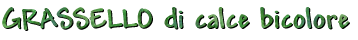 Clicca per accedere alla pagina... Clicca per accedere alla pagina